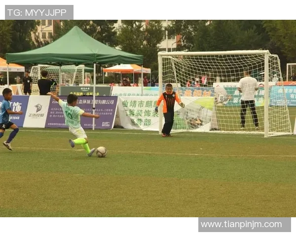 足球新纪元：全球赛事风云再起，顶级联赛与新兴力量的激烈角逐